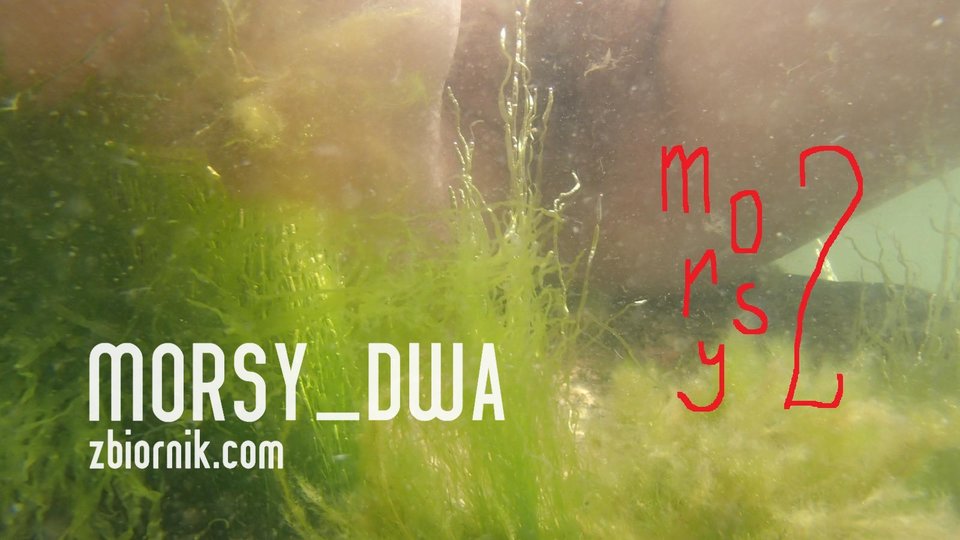 Morsica wśród roślin - Morsy_dwa