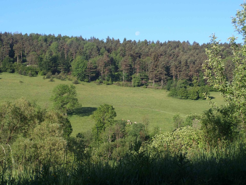 SAM_4216.JPG - piokrk