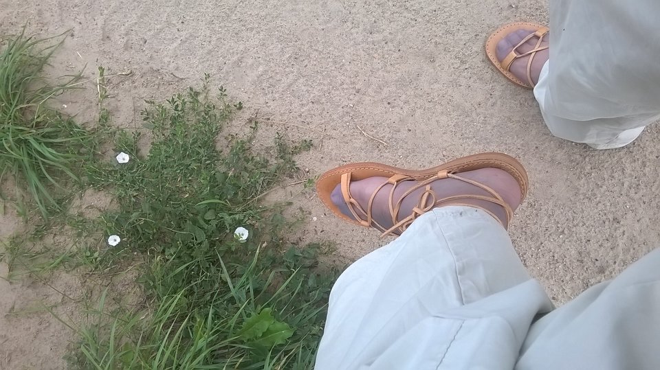 WP_20160710_010.jpg - Kamilia