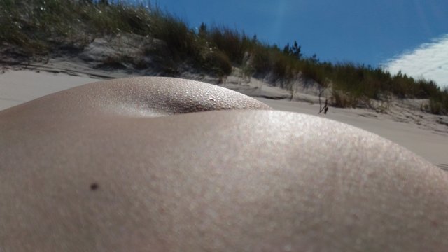 SandT