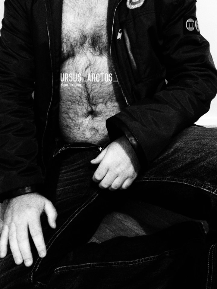 black... - Ursus_Arctos_