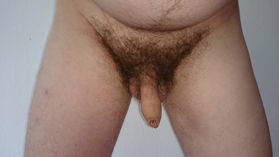 DSC_0001.JPG - Tedee