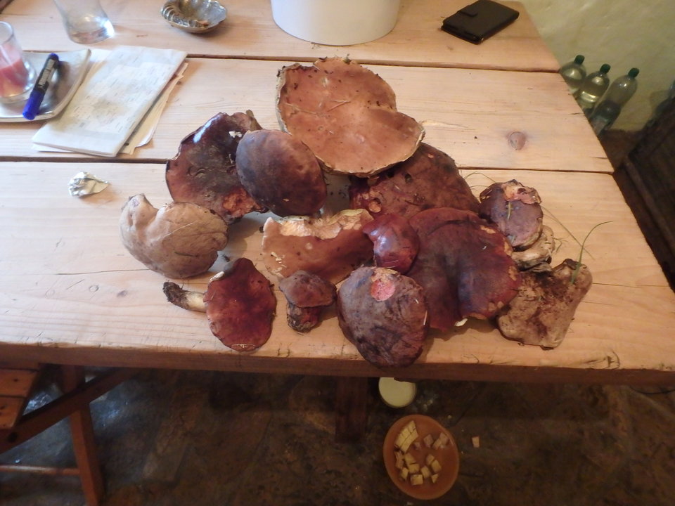 kto idzie z nami następnym razem - ewawojtek8074