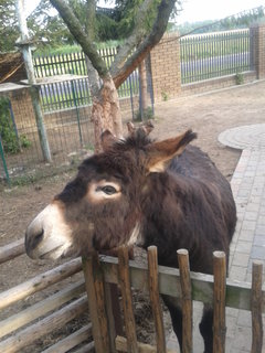 2015-05-16 18.04.43.jpg