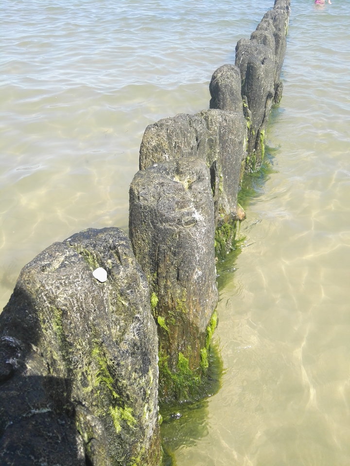 IMG_20160727_122954.jpg - Arrou