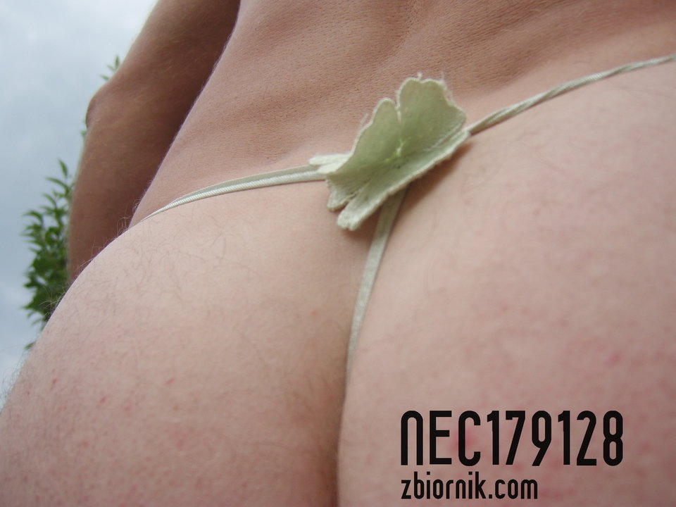 stringusie - nec179128