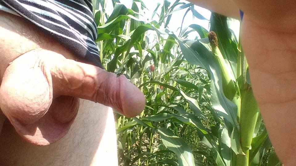 DSC_0109.JPG - tomasz0230