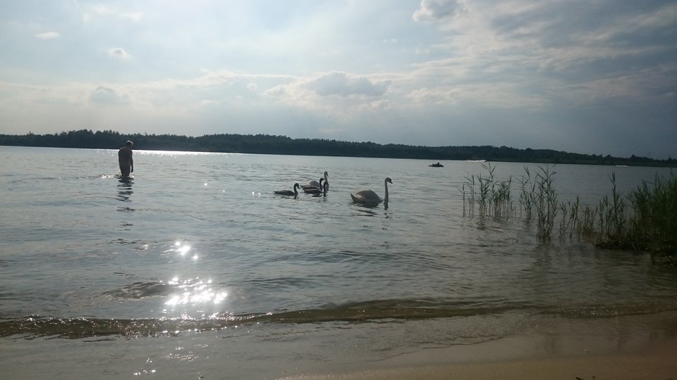 DSC_2280.JPG - helix