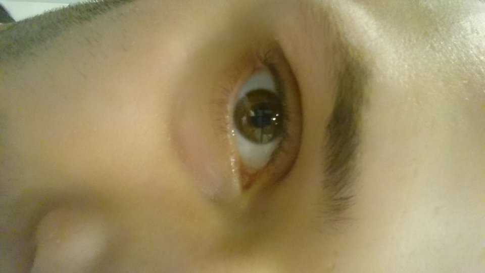 file60696.1452704256.JPG - Dzwonbrzmiacy