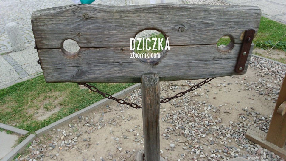 Dyby...Marzenie każdej suki. - dziczka