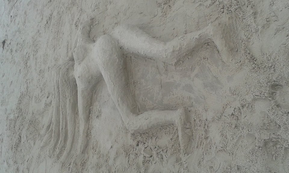 20160803_170308.jpg - mande