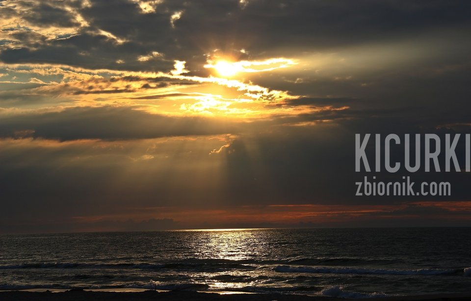  Dedykacja Dla Wszystkich Naszych Starych i Nowych Przyjaciół - kicurki