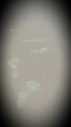 2016-08-05 17.06.01.jpg