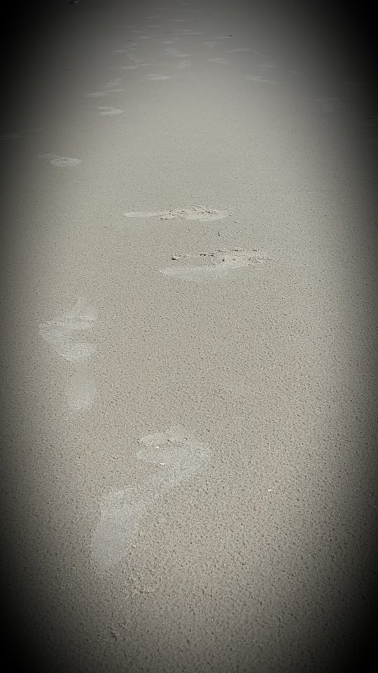 2016-08-05 17.06.01.jpg - PaweliRenia