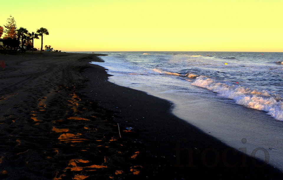 Wieczorową porą. - frocio