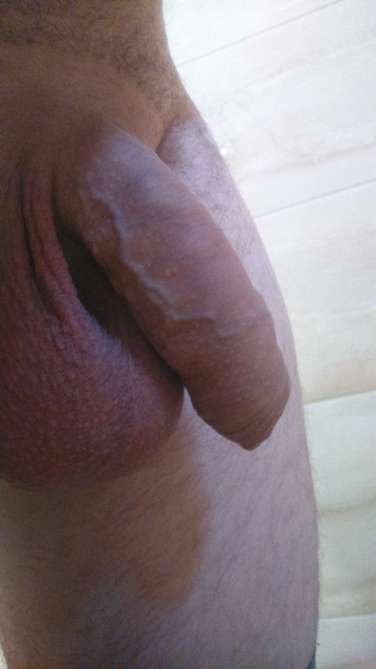 20160808_36213.jpg - ogier8585