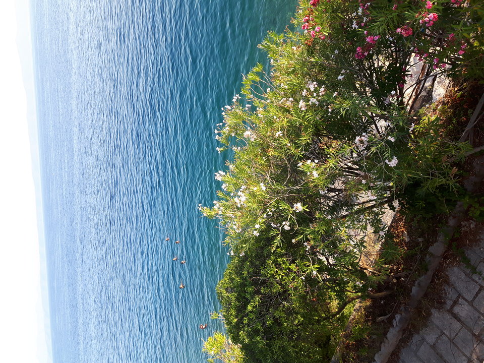 20160810_190725.jpg - fajna_parka
