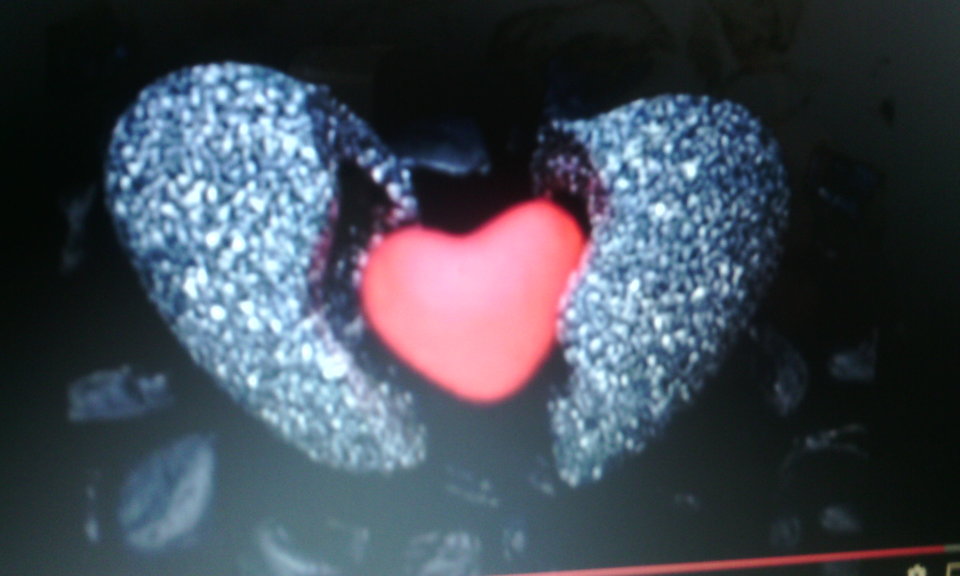 IMG-20160724-WA0000.jpeg - sainc