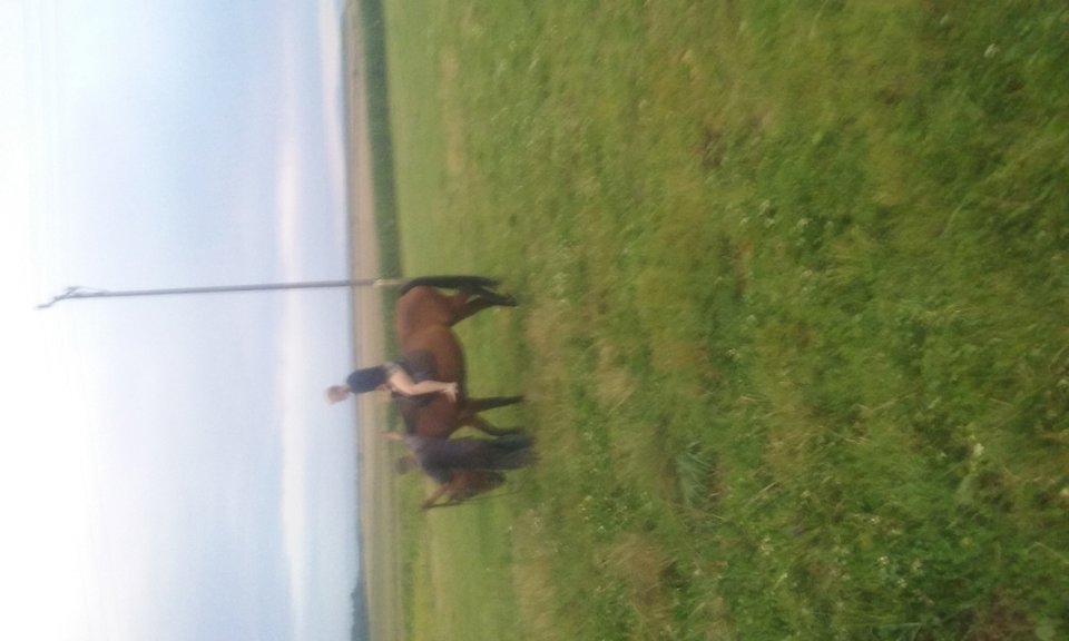 20160802_201733.jpg - Jamal80