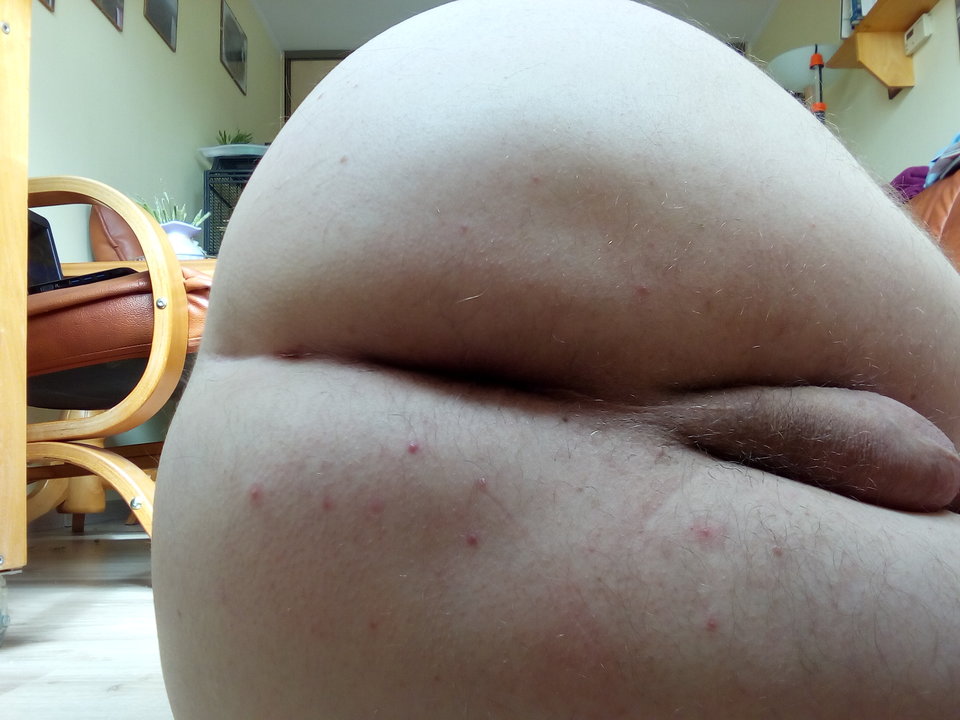 IMG_20160812_114611.jpg - tessalinek1