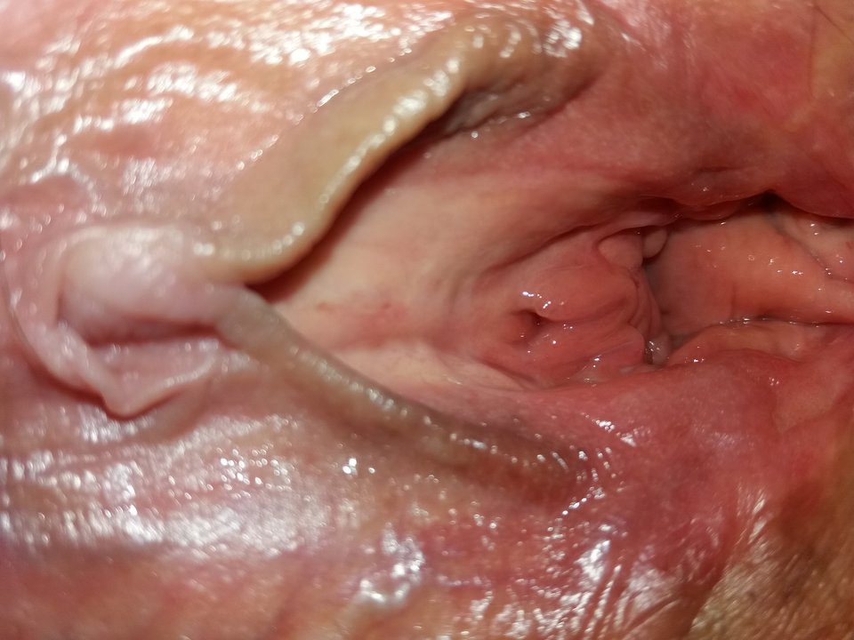 20160815_072900.jpg - lesnyludz