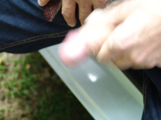 KUSZACY KUTAS (10).JPG - Kamilia