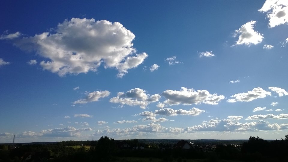 WP_20160720_006.jpg - Ratl