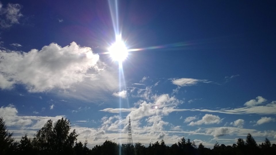 WP_20160721_004.jpg - Ratl