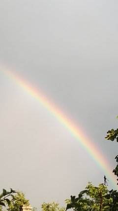 Tęcza.jpg