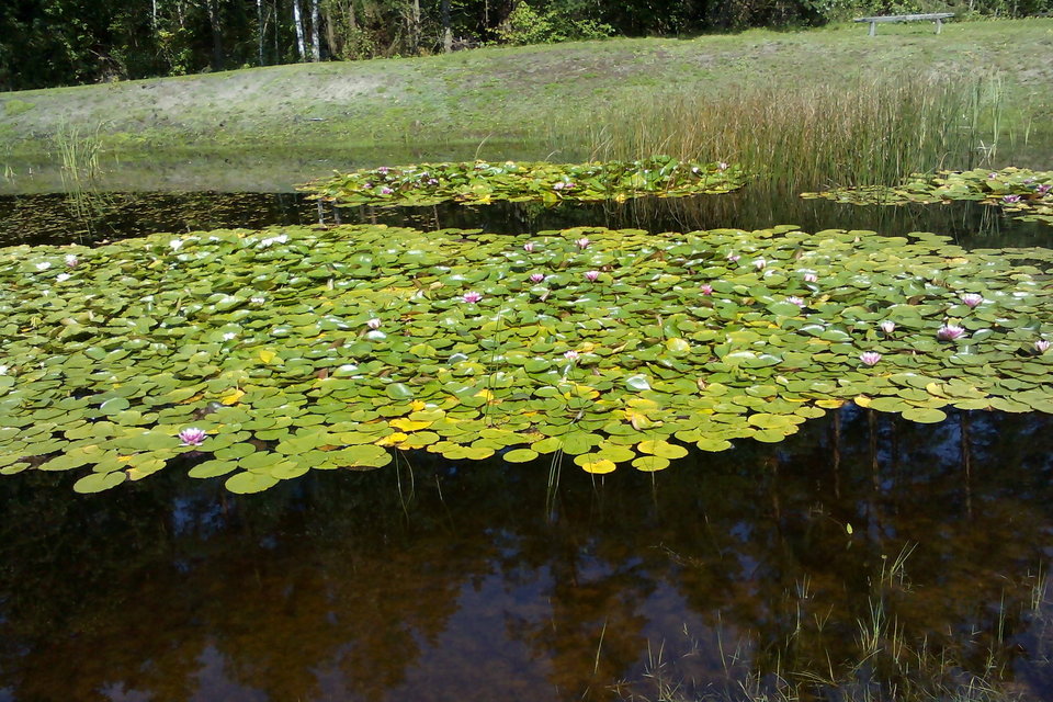 Obraz 102.jpg - Dannielo