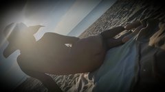 2016-08-20 20.06.29.jpg