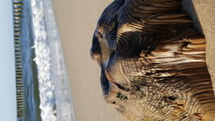 2016-05-14 18.48.55.jpg