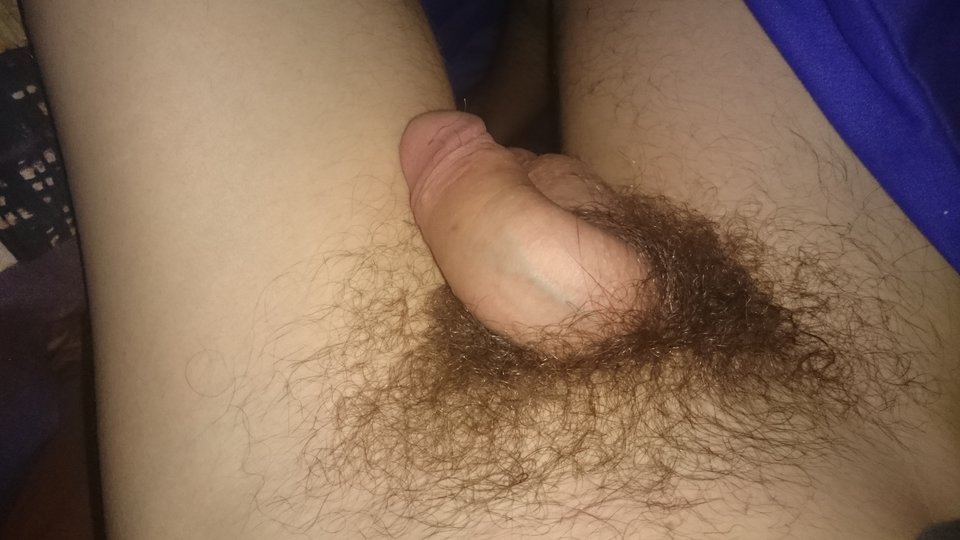 DSC_0108.JPG - andrzej12317