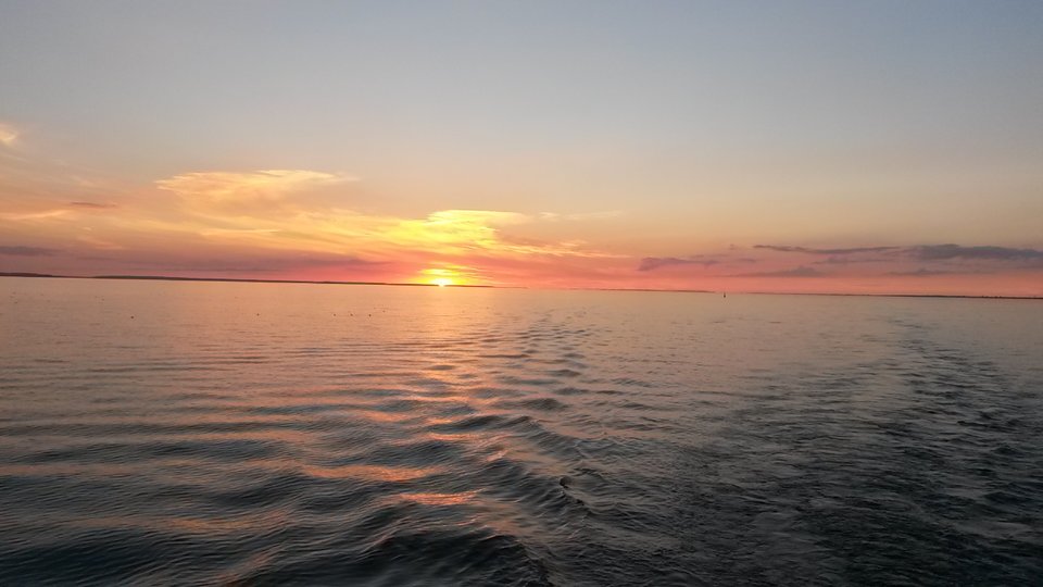 20160819_200614.jpg - margoblatom