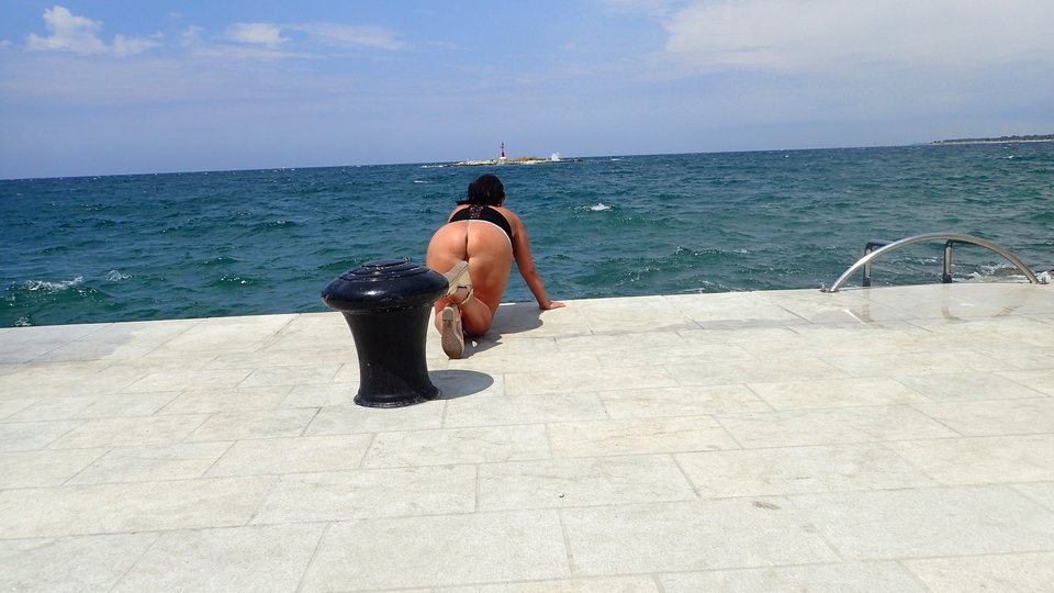 P7280668.JPG - red cat