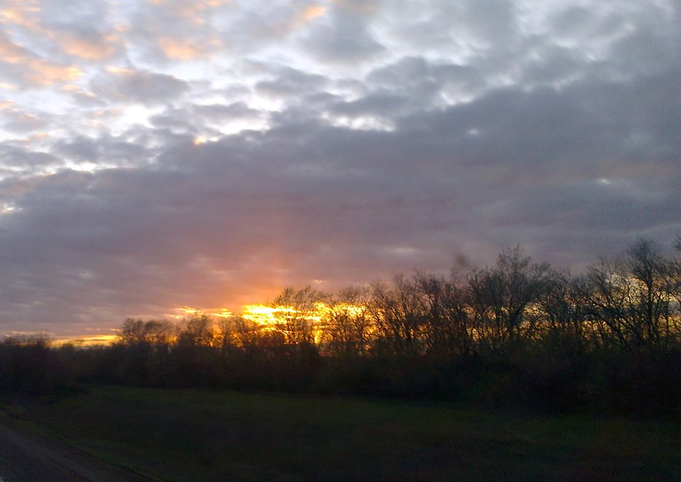 Zdjęcie0117.jpg - Borys_15