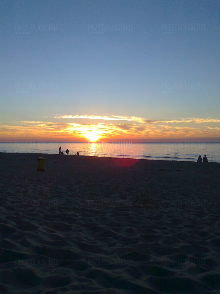 Zdjęcie1641.jpg - przytulaskiMW