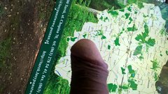 WP_20160825_09_36_04_Pro.jpg