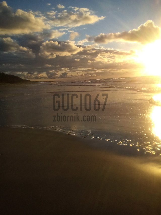 gucio67