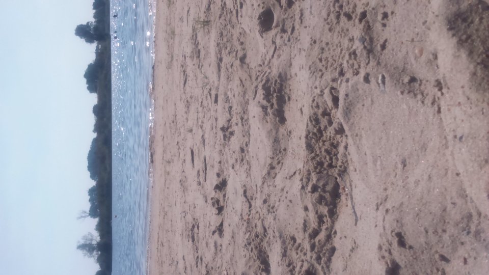 DSC_0001.JPG - Rozkoszyme