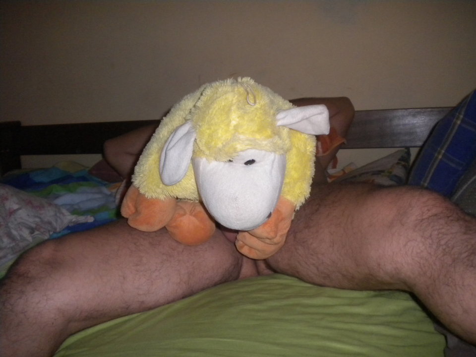 DSCN1544.JPG - parakrak1234