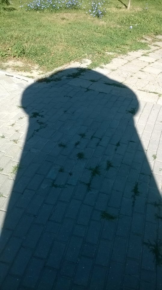 2015-07-21 08.25.36.jpg - wzwodnik1