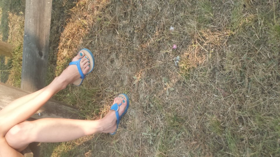 DSC_0063.JPG - HASKI1