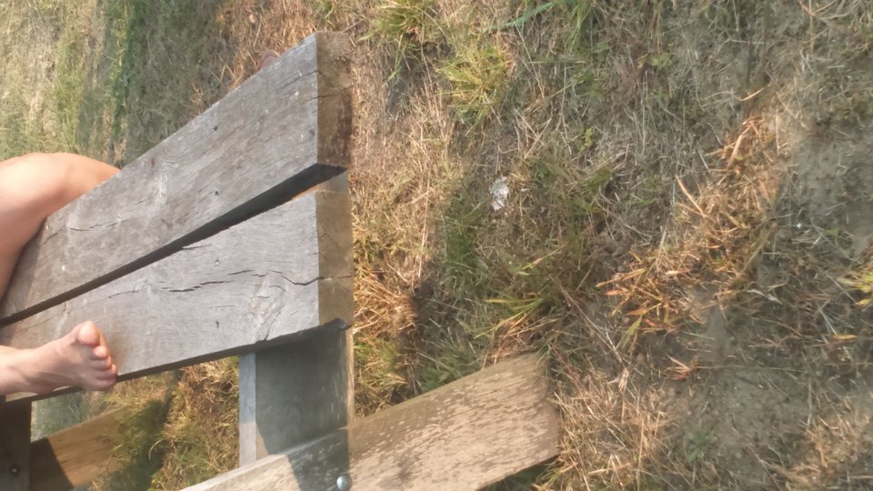 DSC_0067.JPG - HASKI1