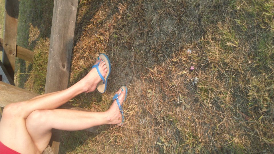 DSC_0068.JPG - HASKI1