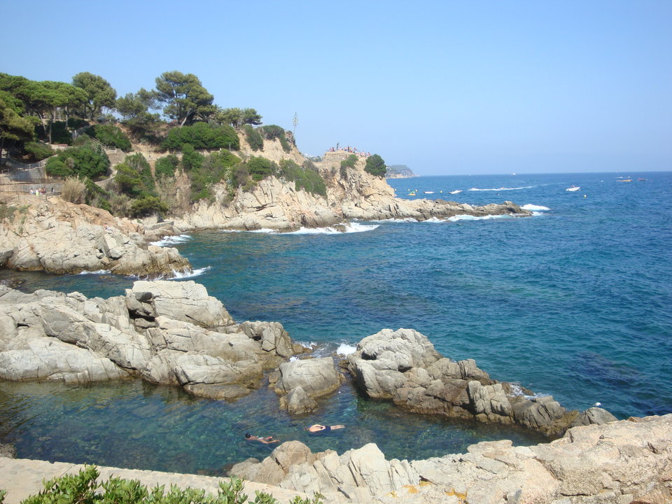 DSC08384.JPG - anonki