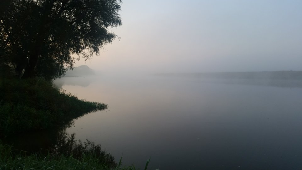 tmp_29906-20160910_063439-1057880251.jpg - skrad_dleihs