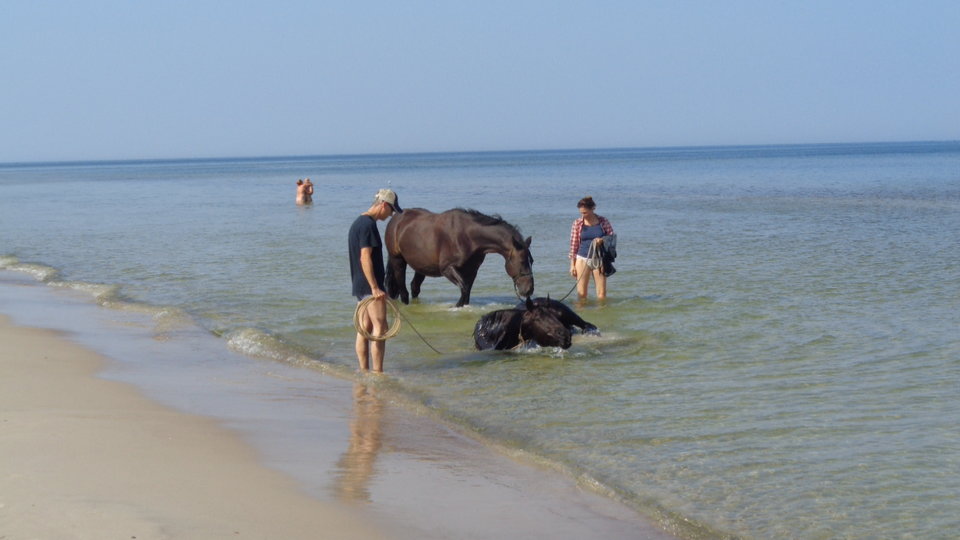 Już po Wakacjach Grzybowo - aniche