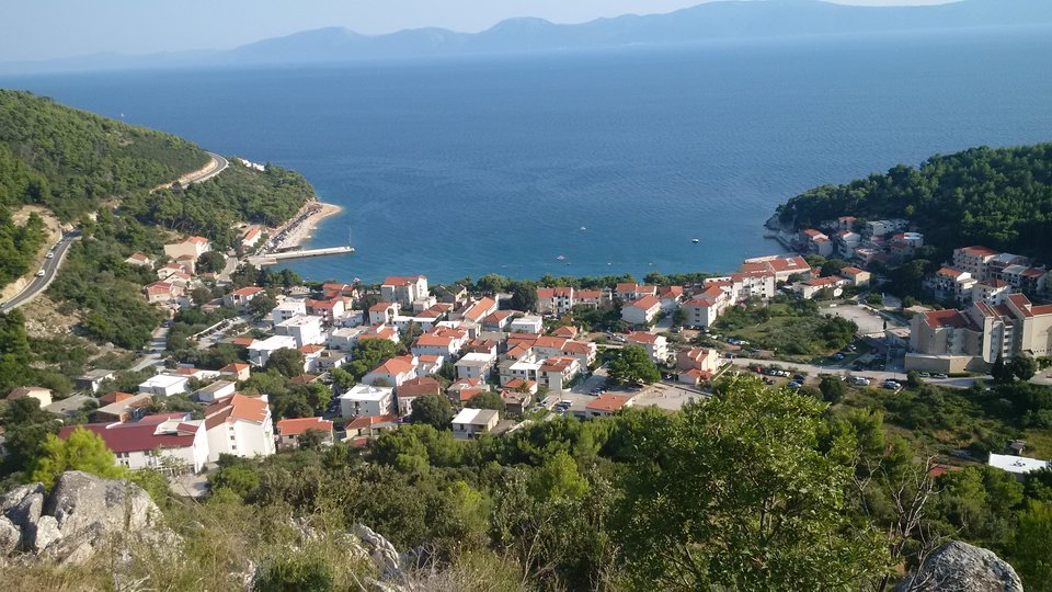 IMG_20160808_173443.jpg - pastuch41