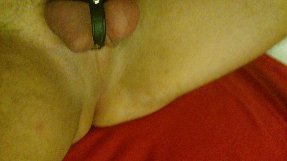 DSC_1329.JPG - poziomka